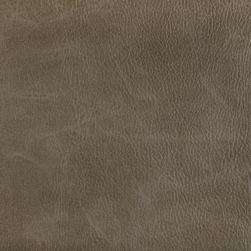 Kravet Contract Toni Field Fabric TONI.6.0