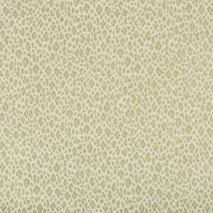 Kravet Design TP-148927 123 Fabric TP-148927.123.0