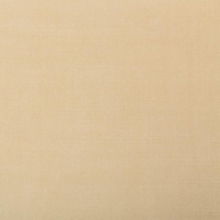 Kravet Smart TP-281982 116 Fabric TP-281982.116.0