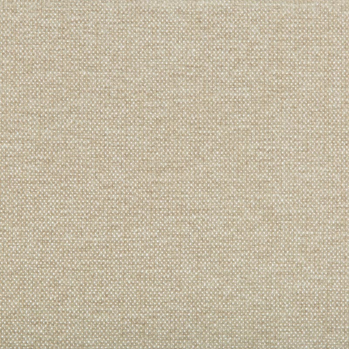 Kravet Smart TP-283497 116 Fabric TP-283497.116.0