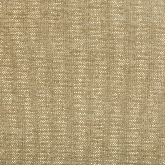 Kravet Smart TP-283497 16 Fabric TP-283497.16.0