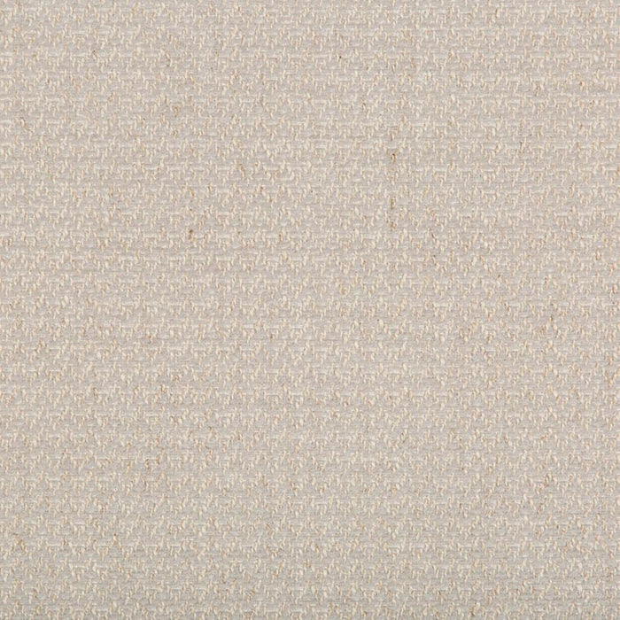 Kravet Smart TP-283498 11 Fabric TP-283498.11.0