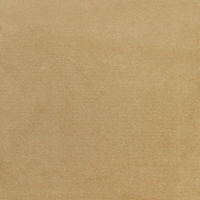 Kravet Smart TP-330892 106 Fabric TP-330892.106.0