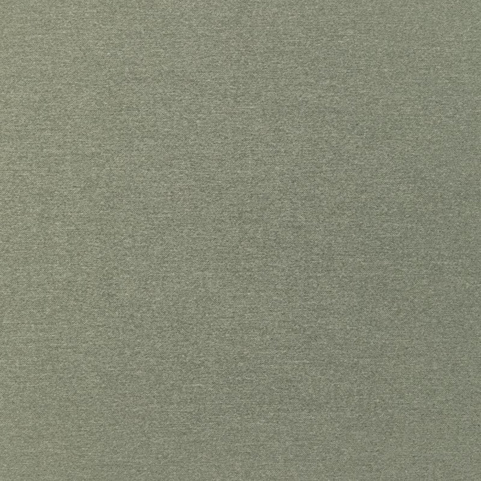 Kravet Smart TP-330910 311 Fabric TP-330910.311.0