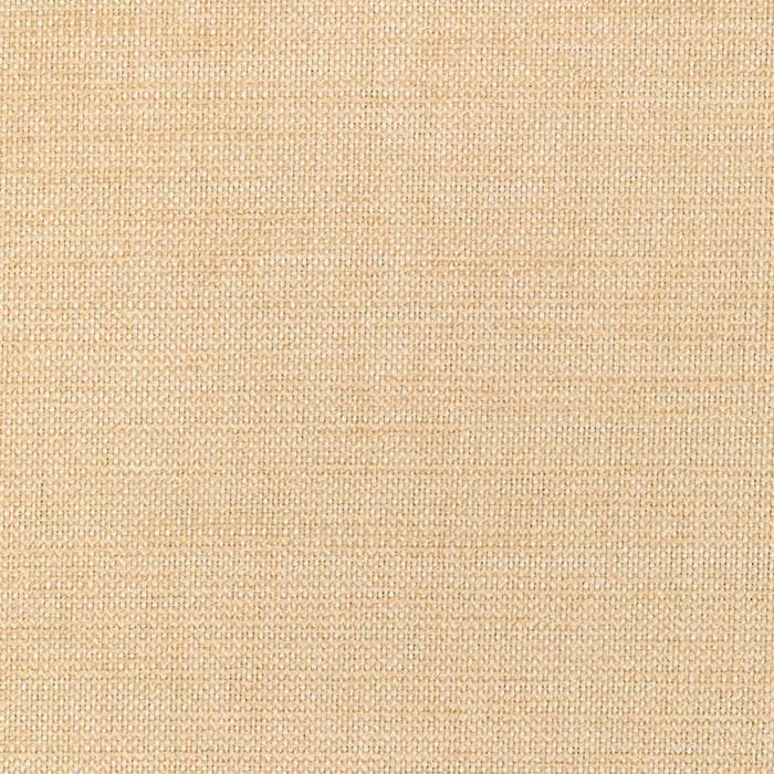 Kravet Smart TP-335297 116 Fabric TP-335297.116.0