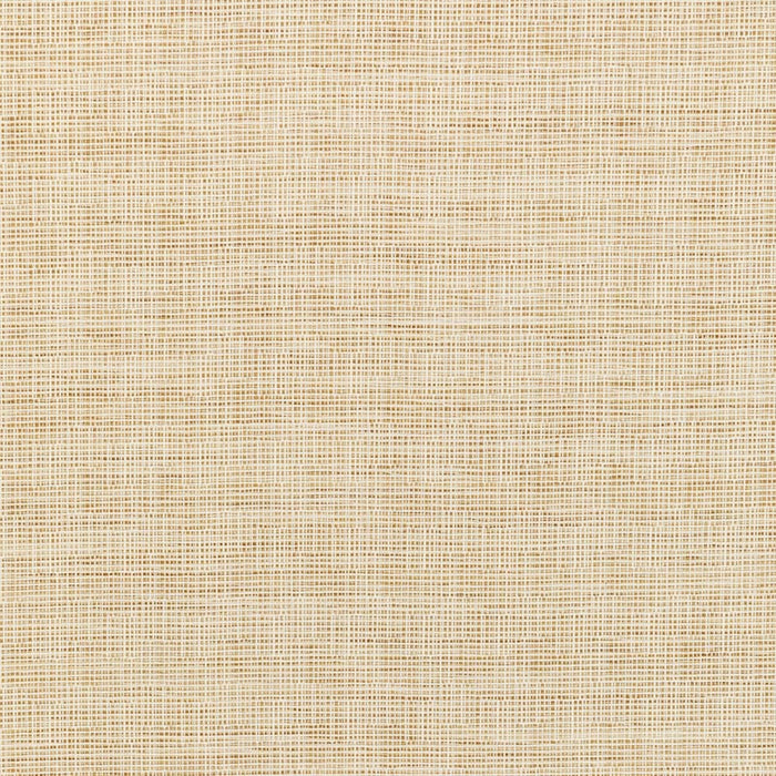 Kravet Smart TP-335298 16 Fabric TP-335298.16.0