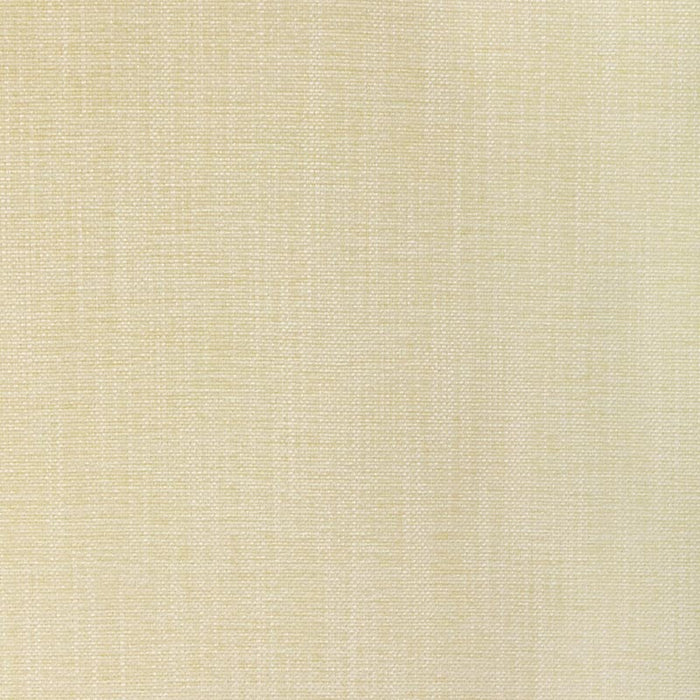 Kravet Smart TP-354483 1111 Fabric TP-354483.1111.0