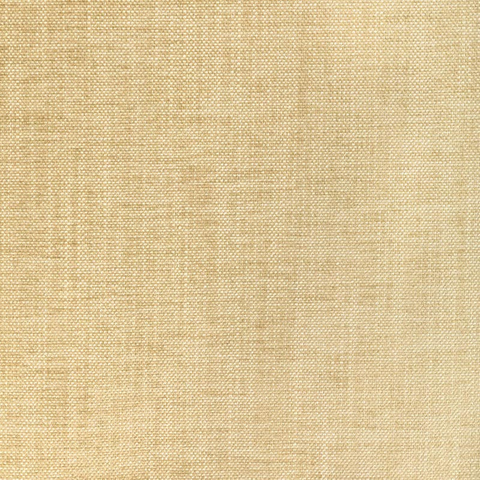 Kravet Smart TP-354483 1116 Fabric TP-354483.1116.0