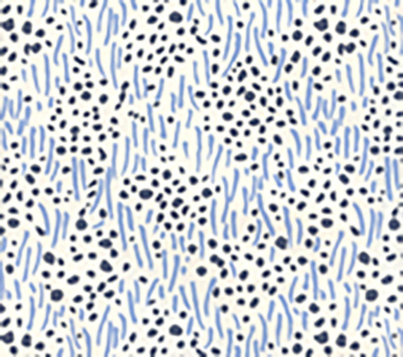 China Seas Trilby Blue Navy Dots Wallpaper Sample 3030-09WP