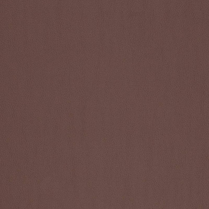 Charlotte Chocolate Fabric V815