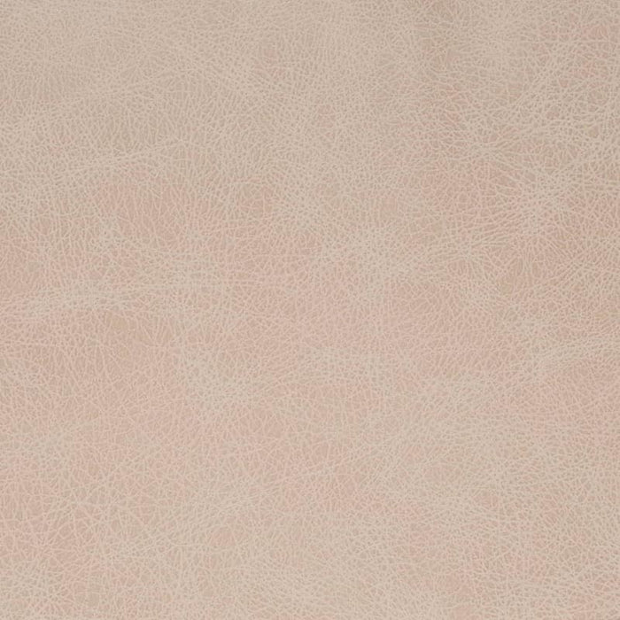 Charlotte Fog Fabric V857