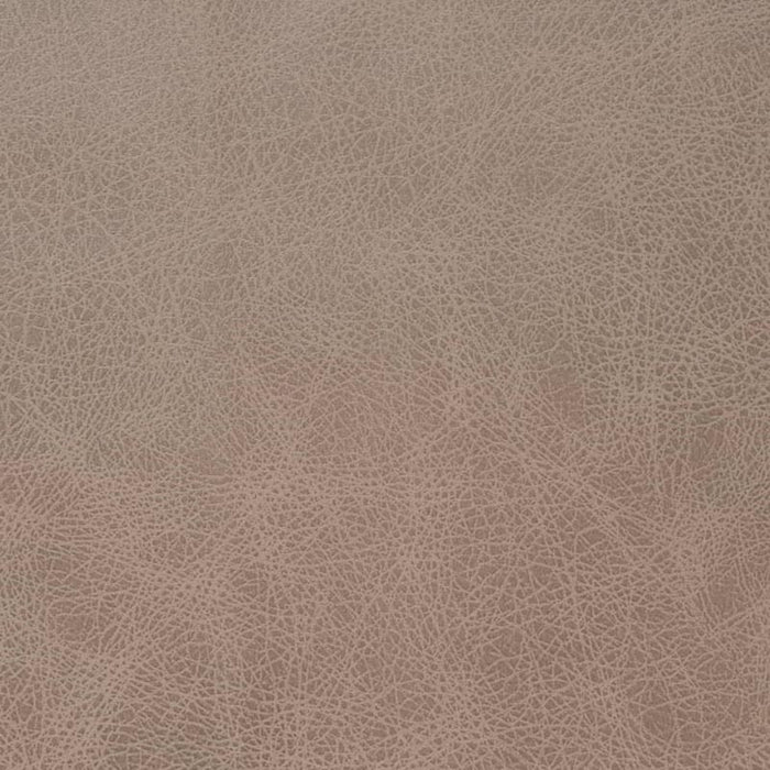 Charlotte Latte Fabric V858