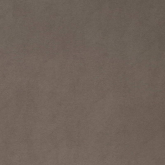 Charlotte Pewter Fabric V865