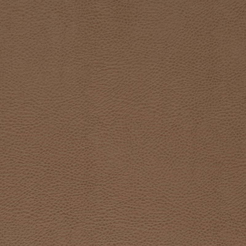 Charlotte Bronze Fabric V869