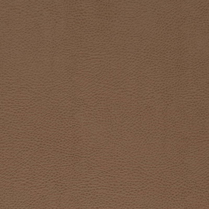 Charlotte Bronze Fabric V869