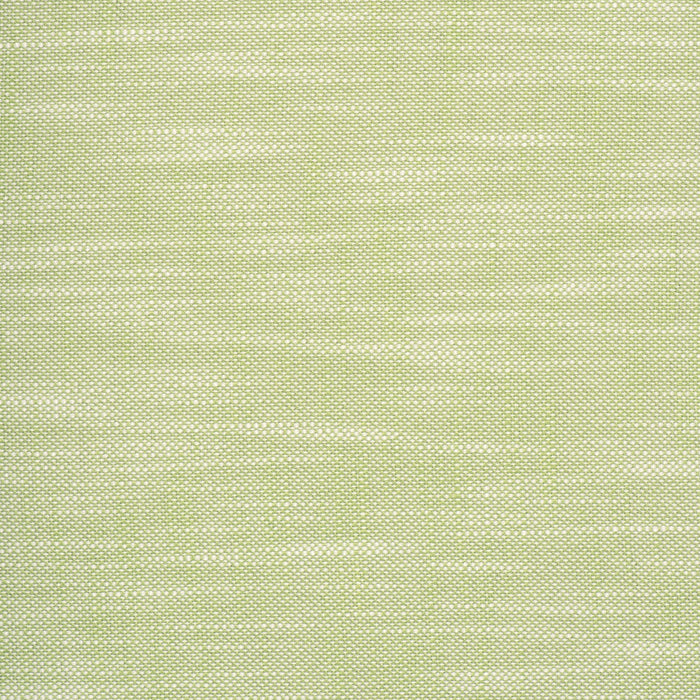 Scalamandre Neoma Celery Fabric VW 00180117