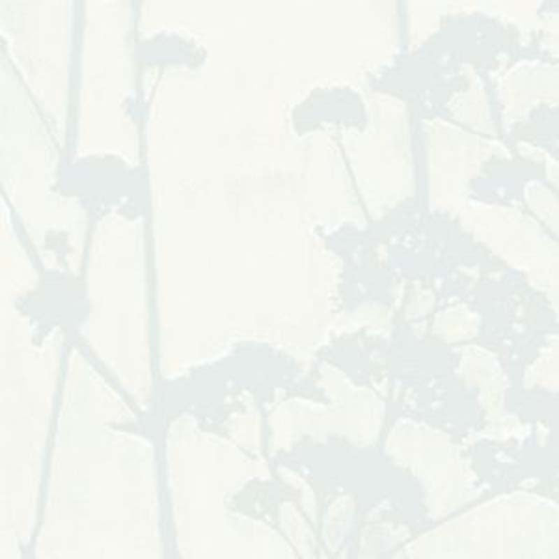 Galbraith & Paul Valerian Feather Wallpaper Sample