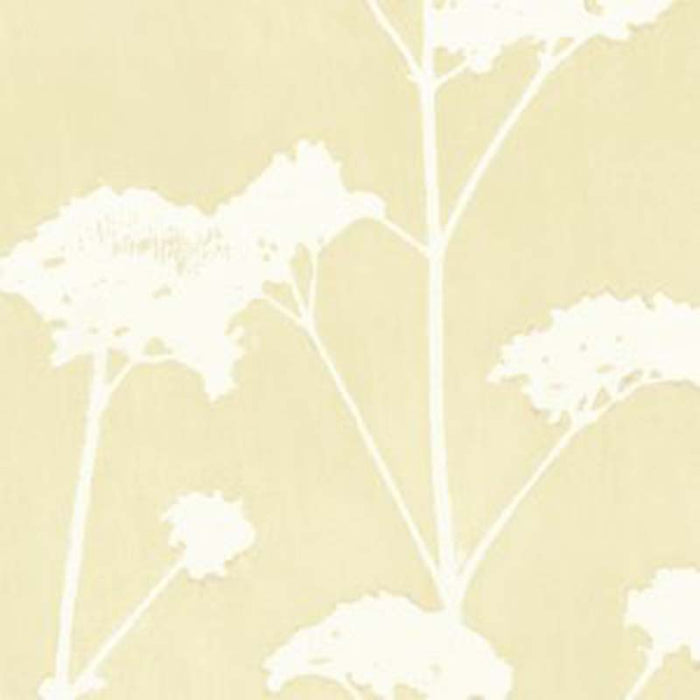 Galbraith & Paul Valerian Pear Wallpaper Sample