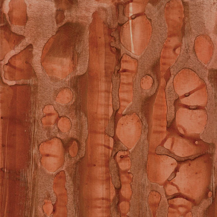 Maya Romanoff River Bed Red Clay Wallpaper Sample MR-W-58-1203-G