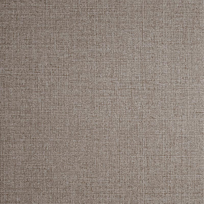 Clarke & Clarke Nico Bronze Wallpaper Sample W0057/02.CAC.0