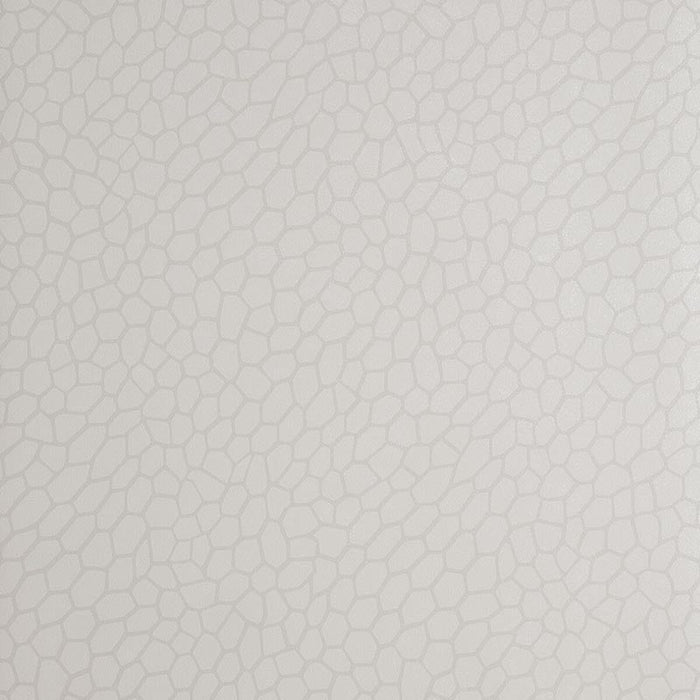 Clarke & Clarke Playa Parchment Wallpaper Sample W0058/04.CAC.0