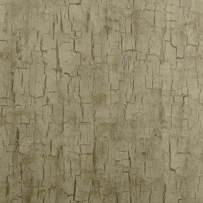 Clarke & Clarke Tree Bark Antique Wallpaper W0062/01.CAC.0