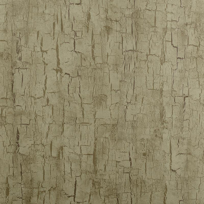 Clarke & Clarke Tree Bark Antique Wallpaper Sample W0062/01.CAC.0