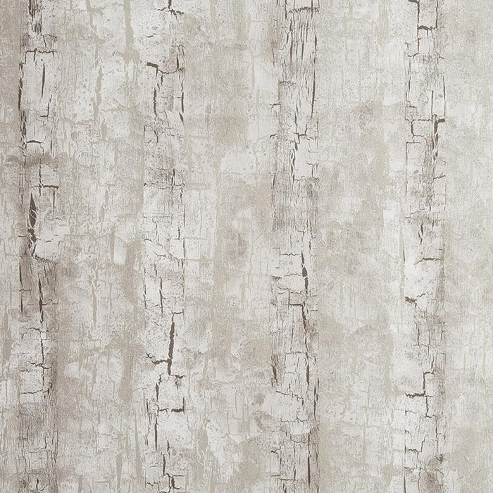 Clarke & Clarke Tree Bark Birch Wallpaper Sample W0062/02.CAC.0