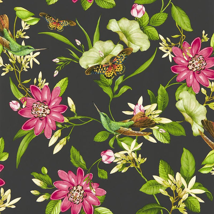 Clarke & Clarke Pink Lotus Wp Noir Wallpaper Sample W0132/03.CAC.0