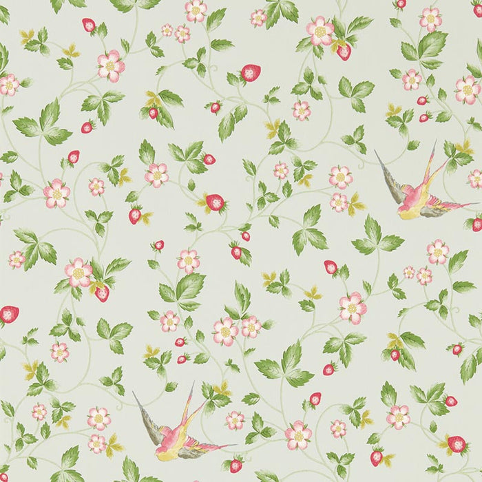 Clarke & Clarke Wild Strawberry Wp Dove Wallpaper Sample W0135/02.CAC.0