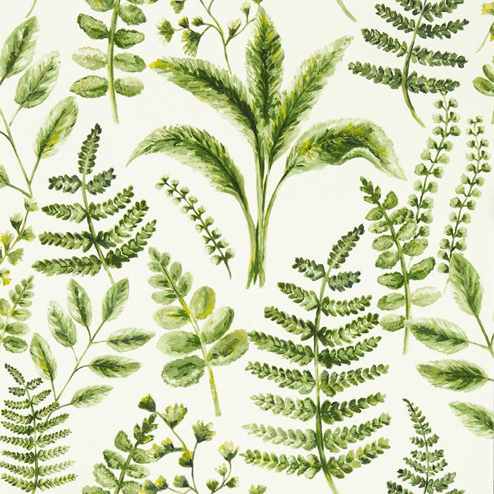 Clarke & Clarke Bracken Forest Wp Wallpaper Sample W0156/02.CAC.0