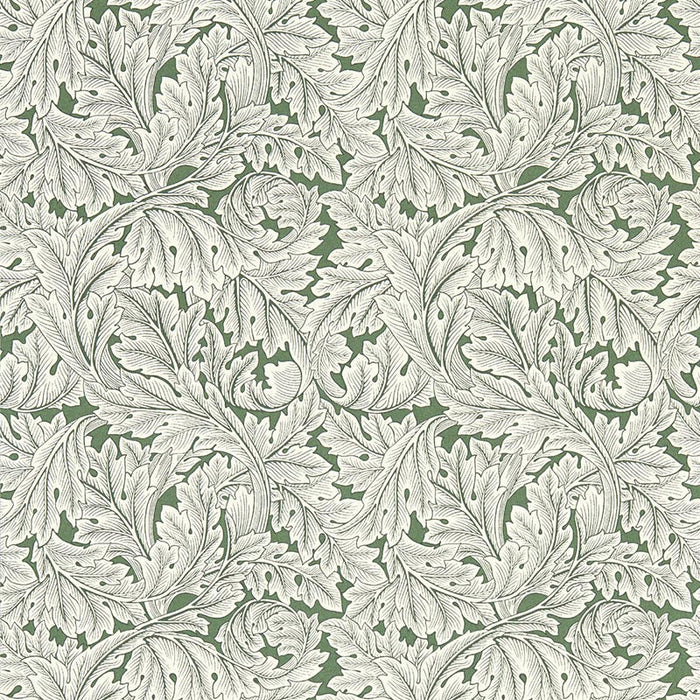 Clarke & Clarke Acanthus Sage Wp Wallpaper Sample W0175/01.CAC.0