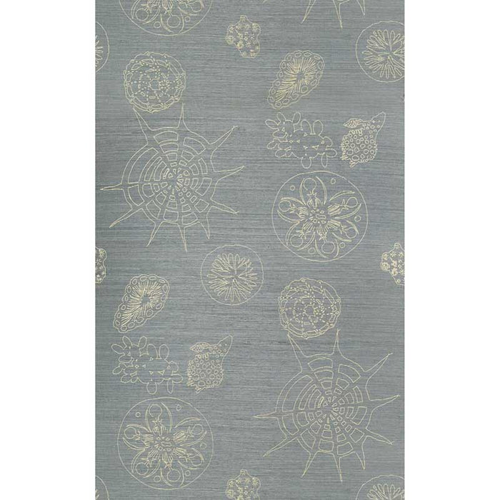 Kravet Couture Telescopic G Surf / Sand Wallpaper Sample W3584.311.0