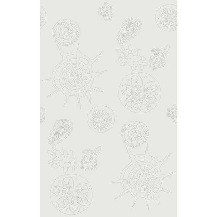 Kravet Couture Telescopic P Mercury Wallpaper Sample W3585.1.0