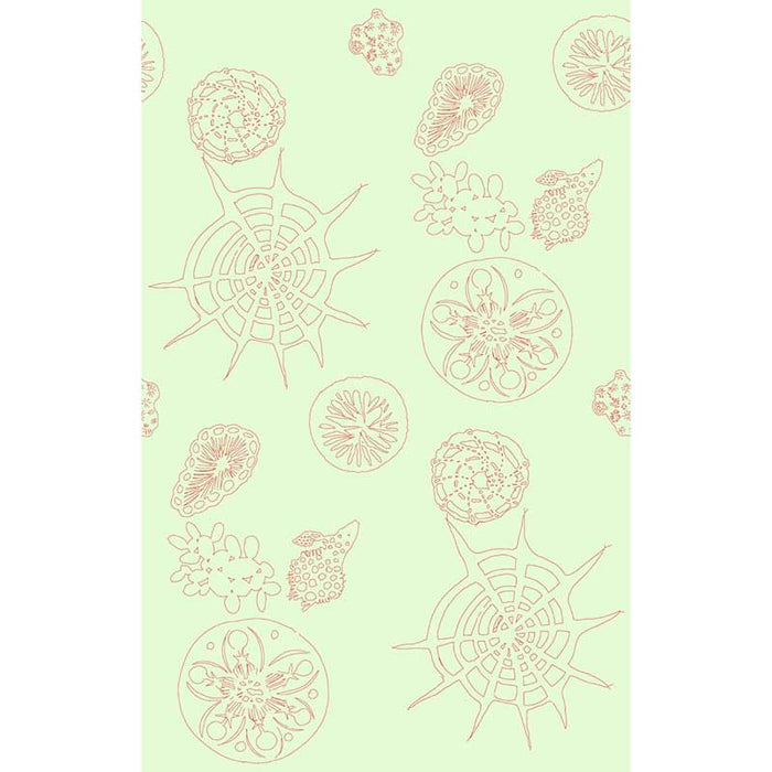 Kravet Couture Telescopic P Coral Sea Wallpaper Sample W3585.319.0