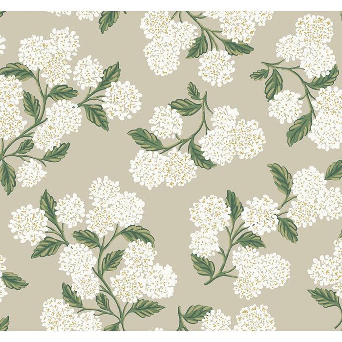 Kravet Design W3952 31 Wallpaper W3952.31.0