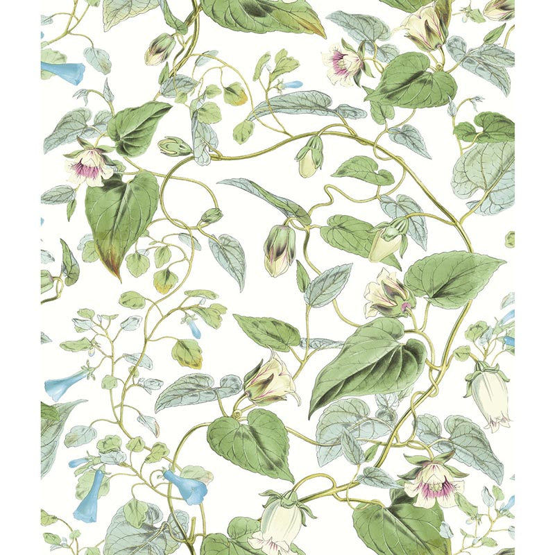 Kravet Design W4132 31 Wallpaper W4132.31.0