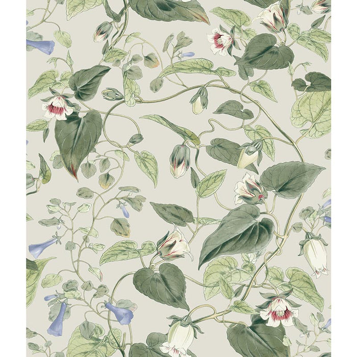 Kravet Design W4132 315 Wallpaper W4132.315.0