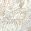 Kravet Couture Yasuni Wp Sepia Wallpaper Sample W4145.1615.0