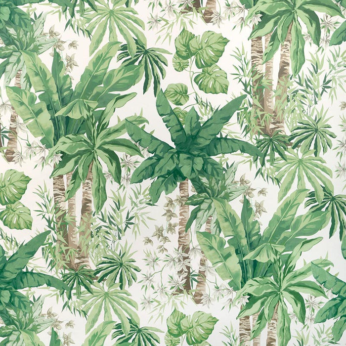 Kravet Couture Junglewood Wp Verde Wallpaper Sample W4147.311.0