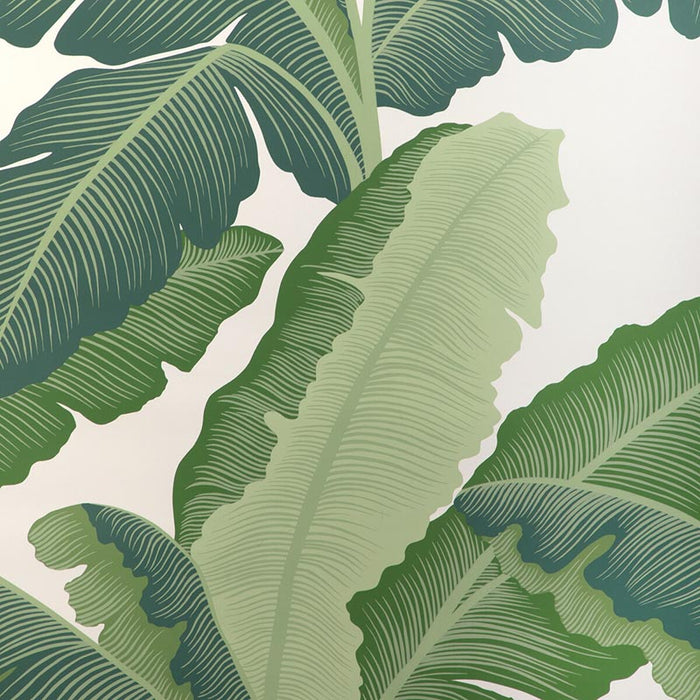 Kravet Couture Isla Royal Wp Verde Wallpaper Sample W4151.33.0