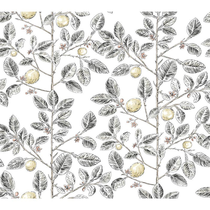 Kravet Design W4241 21 Wallpaper W4241.21.0