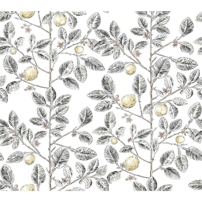 Kravet Design W4241 21 Wallpaper Sample W4241.21.0