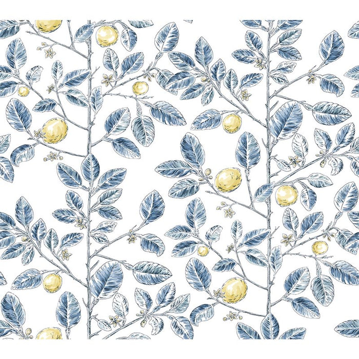 Kravet Design W4241 540 Wallpaper W4241.540.0