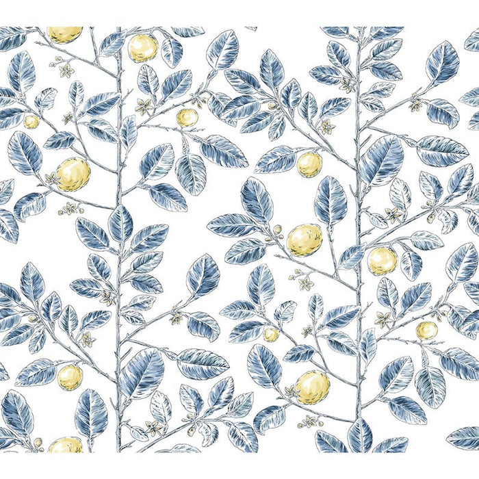 Kravet Design W4241 540 Wallpaper Sample W4241.540.0