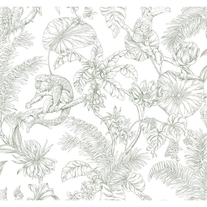 Kravet Design W4250 31 Wallpaper W4250.31.0