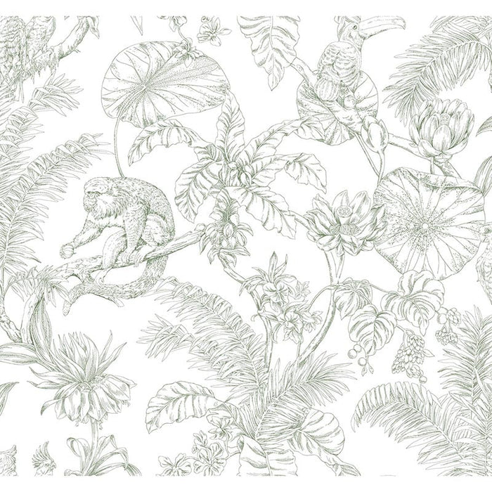 Kravet Design W4250 31 Wallpaper Sample W4250.31.0