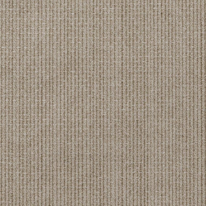 Holly Hunt Walls Walzin Latte Wallpaper W8105/04