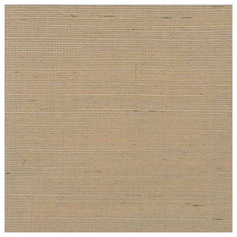 Winfield Thybony Distinctive Sisals Acorn Wallpaper Sample WDW2401.WT.0