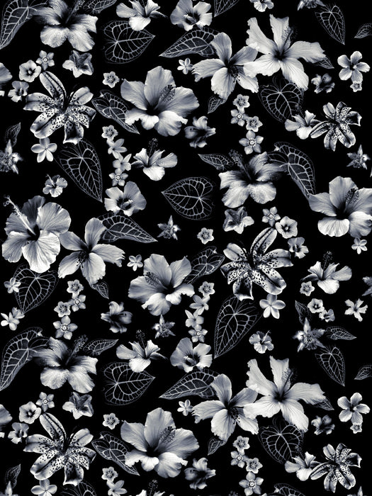 Jean Paul Gaultier Cariacou Noir Wallpaper WH000013340